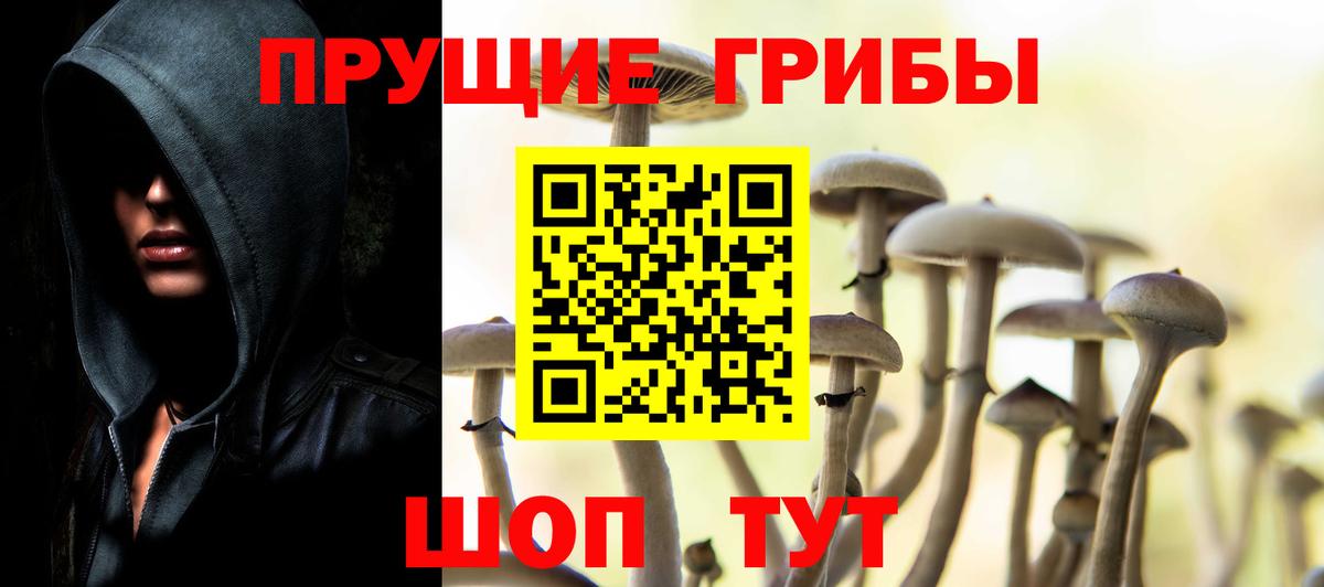 Псилоцибиновые грибы Magic Shrooms  Галлюциногенные грибы Psilocybe  Темрюк  Вход с VPN 